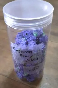 Gateron Genty Silent ガテロン