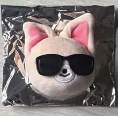 straykids run it ランダムフェイスキーリング Foxl.Ny