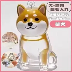 【柴犬】メモリアル 犬 毛入れ ふわふわ 可愛い ぷっくり立体 キーホルダー