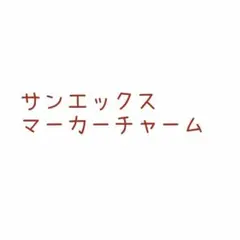 サンエックス マーカーチャーム 2個セット