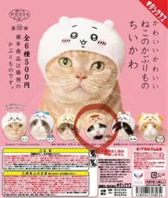 【ちいかわ】かわいい かわいい ねこのかぶりもの くりまんじゅう