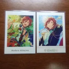 三毛縞斑 ぱしゃこれ ぱしゃっつ