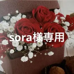 sora様専用