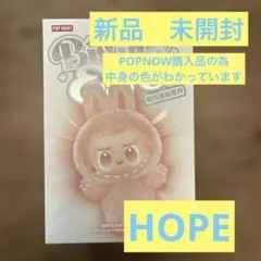 【•*シークレット*•】新品未使用 ハート ラブブ 正規品 箱付き 2025年最新】popmart labubu シークレットの人気アイテム - メルカリ