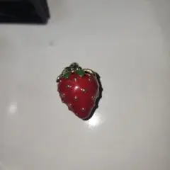 いちご型　キーホルダー　COACH