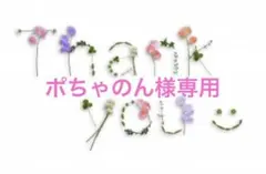 ポちゃのん様専用　梅干し中粒1kgのサムネイル