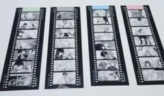百合姫展 購入特典 クリアしおり 4枚セット - メルカリ
