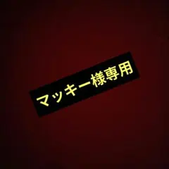 マッキー様専用　サンリオピューロランドパスポート７枚