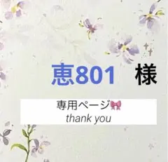 恵801様 リクエスト 2点 まとめ商品