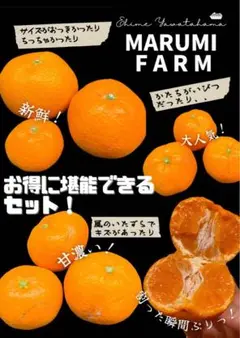 ビジュより中身重視♡たっぷり5キロお買い得みかんの概念❀まるみにトリコ