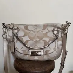美品 COACH 43740 シグネチャー ワンショルダー ポーチ y2k - メルカリ