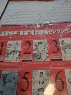 ふしぎ遊戯 玄武開伝 渡瀬悠宇 複製原画セレクション