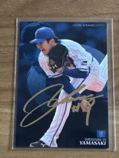 2026年最新】山崎康晃サインの人気アイテム - メルカリ