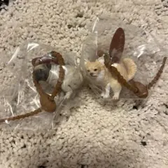 ふんばり〜ぬ3 パグ チワワ【2点セット】