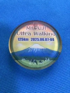 富士山125km ウルトラウォーク　バックライト
