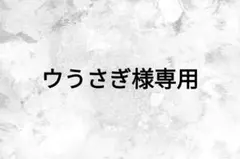 ウうさぎ様専用