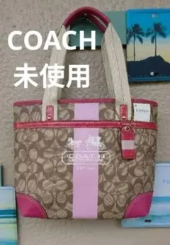 COACH トートバッグ 宇宙柄 NASA パッチワーク 本革 29126 - メルカリ