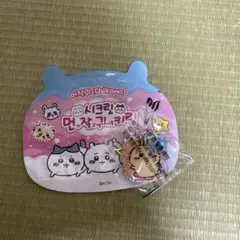 ちいかわ　うさぎ　アクリルキーホルダー　韓国限定