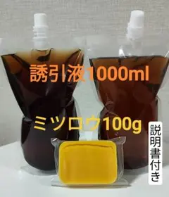 Item thumbnail for item c3d8ae3f-20a8-4722-8ee5-1cd00d796139