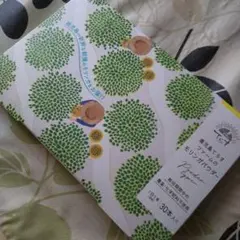 Item thumbnail for item ef406122-4cea-45fe-ba30-1b1f8f14dc0e