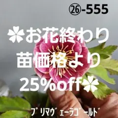 2026年最新】プリマヴェーラゴールドの人気アイテム - メルカリ