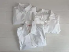 Item thumbnail for item 393c9f50-31f3-43af-872a-ef7f4cce7bc7