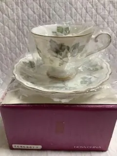 新品未使用品　HOYA カップ&ソーサー　1客　箱入り
