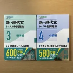 新・現代文レベル別問題集 3.4