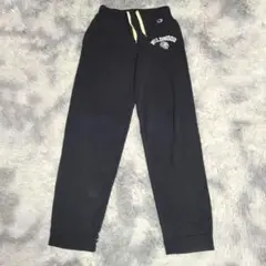 アフテンさま専用