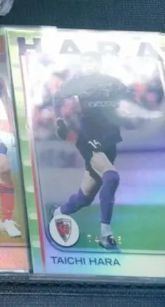 むちゃまお様　専用出品