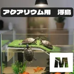 Item thumbnail for item 5a1f42bc-8625-4352-a527-cbaa203442c0