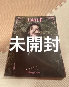 新品　未開封　Stray Kids DO IT ACCORDION バンチャン