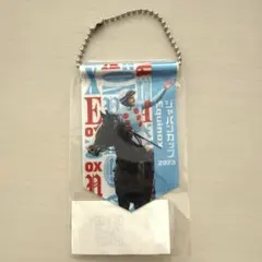 ノーザンホースパーク イクイノックス ミニタペストリー モバガチャのサムネイル