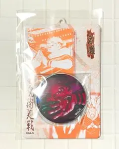 【即購入OK】呪術廻戦 缶バッジ＆特製ホルダーコレクション 両面宿儺