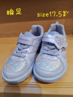 瞬足 ラベンダー