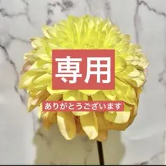 【新品】グレー 裏地星柄 英字ロゴ レッスンバッグ シンプル 通園バッグ 男の子