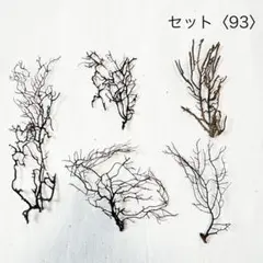 まいまい様 リクエスト 6点 まとめ商品