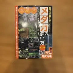 専門店が教える メダカの飼い方