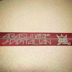 嵐 2014 THE DIGITALIAN 銀テ