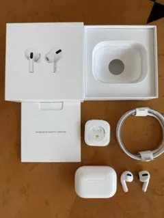 [ノイキャン不調] Apple AirPods Pro1／使用可・付属品完備