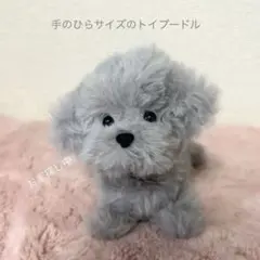 モールアート　モールドール　トイプードル シルバー　ぬいぐるみ　犬　ハンドメイド