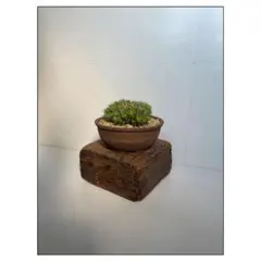 古道具　ヴィンテージ　ディスプレイ台　棚　小物入れ　台座　アート　民藝　古物