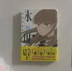 氷の城壁 1