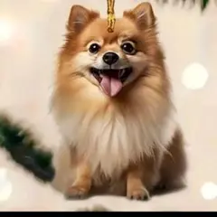 Chirro♡Qoonn様 リクエスト 2点 まとめ商品