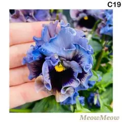 ぴい様 リクエスト 3点 まとめ商品