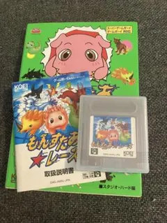 もんすたあ⭐︎レース ソフト ベリーベストブック セット