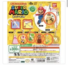 スーパーマリオ めじるしアクセサリー2