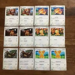 ポケモン　リングマ　ヒメグマ　　　　　　☺︎のサムネイル