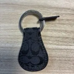 Item thumbnail for item 3978c843-1ba5-4621-aa05-cfb3a53c0513