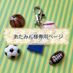 あたみん様専用ページ